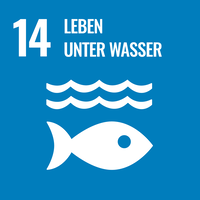 14 Leben unter Wasser